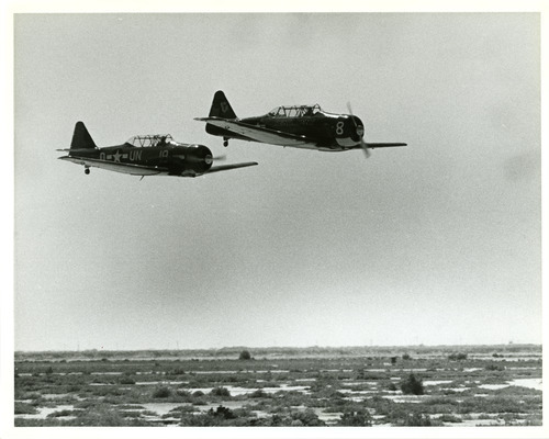 Tribune file photo

A handwritten note on the back of this undated photo says, 
