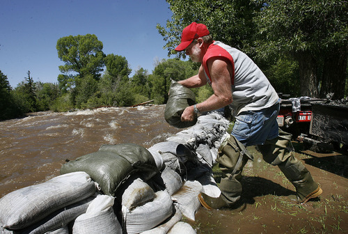 Scott Sommerdorf  |  The Salt Lake Tribune
Homeowner Rob Taylor build up the sandbag wall separating his family's cabin property against the raging Weber River on Saturday.