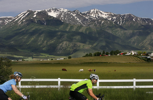 Scott Sommerdorf  |  The Salt Lake Tribune
25th Anniversary Bike MS: Harmons Best Dam Bike Ride through Cache Valley, Sunday, June 25, 2011.