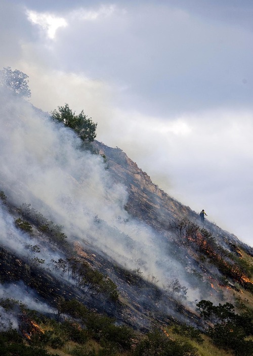 Djamila Grossman  |  The Salt Lake Tribune

A firefighter works to contain a wildfire that burns in the hills above Red Butte Garden and the new Utah Museum of Natural History in Salt Lake City, Utah, on Sunday, July 3, 2011.