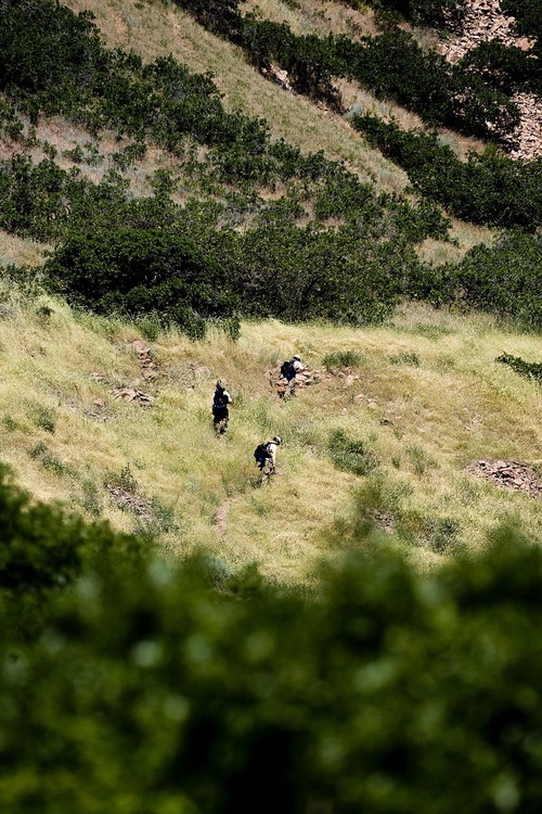 Djamila Grossman  |  The Salt Lake Tribune

Firefighters make their way to a wildfire that burns in the hills above Red Butte Garden and the new Utah Museum of Natural History in Salt Lake City, Utah, on Sunday, July 3, 2011.