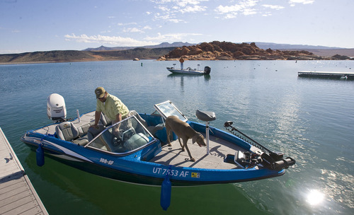 Al Hartmann  |  The Salt Lake Tribune   

Judd Ritter and dog Sage prepare to cast off from the dock at Sand Hollow Reservoir for some bass fishing.