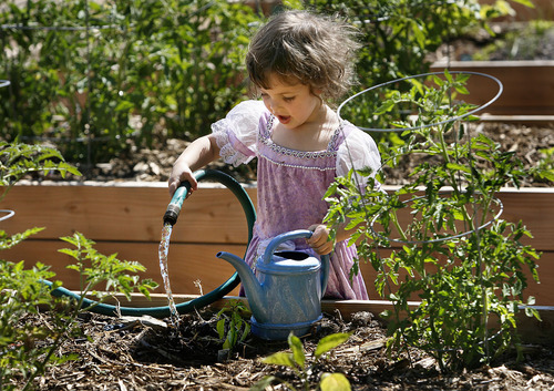 Scott Sommerdorf  |  The Salt Lake Tribune
Three year old Isadora Mahon helps her mother water the family beds. Volunteers created the Sugar House Community Garden on top of the temporarily disused Fairmont Park Tennis Courts.