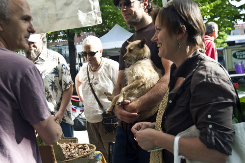 Chris Detrick  |  The Salt Lake Tribune 
Edible Wasatch's David Vogel and Rachel Hodson talk with Robert Angelilli of Gnome Grown Mushrooms as they shop at the Downtown Farmers Market at Pioneer Park on June 18.