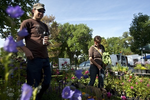Chris Detrick  |  The Salt Lake Tribune 
Edible Wasatch's David Vogel and Rachel Hodson look at flowers from Growing Empire Perennials & Shrubs Nursery at the Downtown Farmers Market at Pioneer Park on June 18.