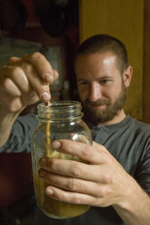Paul Fraughton  |  The Salt Lake Tribune
Mark Purdy stirs his kombucha culture. He can grow the culture  and make his own kombucha from the starter.