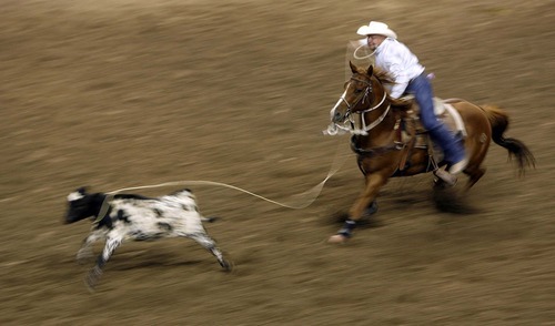 Trent Nelson  |  The Salt Lake Tribune
Lex Smith of Malad, Idaho, ropes a calf in the Tie Down Roping competition at the Days of 47 Rodeo, Maverik Center in West Valley City, Utah. Friday, July 22, 2011.