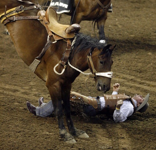 Trent Nelson  |  The Salt Lake Tribune
McKay Mann of Lindon, Utah, falls in the Saddle Bronc Riding competition at the Days of 47 Rodeo, Maverik Center in West Valley City, Utah. Friday, July 22, 2011.