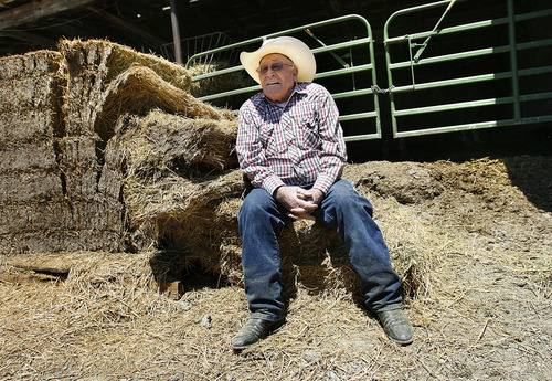 Scott Sommerdorf  |  The Salt Lake Tribune
Jack McKee, 92, sits on a bale of hay to catch his breath after putting away his Belgian draft horses, Tom and Jasper. McKee is famous for his pulling horses. He and his team of horses will be featured during the Days of '47 festivities.