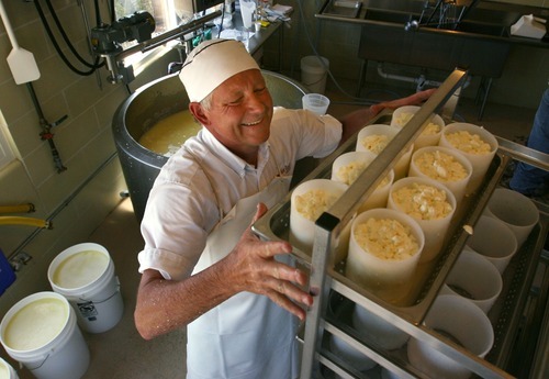 Steve Griffin  |  The Salt Lake Tribune

Stig Hansen, who owns Snowy Mt. Sheep Creamery in Eden with his wife Susan,  stacks molds filled with curd as he makes cheese Thursday, July 14, 2011.  The Hansen's make some of Utah's best 
