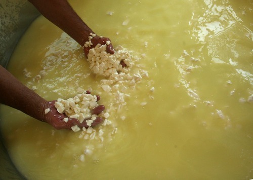 Steve Griffin  |  The Salt Lake Tribune

Stig Hansen, who owns Snowy Mt. Sheep Creamery in Eden with his wife Susan,  uses his hands to separate the curd from the whey as he makes cheese Thursday, July 14, 2011.  They get a 