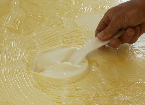 Steve Griffin  |  The Salt Lake Tribune

Stig Hansen, who owns Snowy Mt. Sheep Creamery in Eden with his wife Susan,  checks the consistency of the sheep's milk as he makes cheese Thursday, July 14, 2011.
