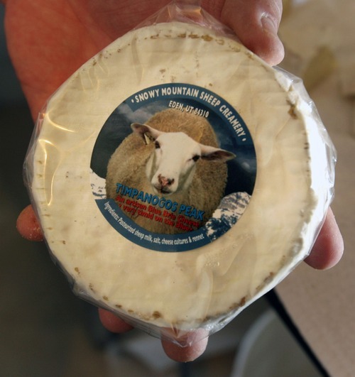 Steve Griffin  |  The Salt Lake Tribune

Stig Hansen, who owns Snowy Mt. Sheep Creamery in Eden with his wife Susan,  shows some of his Timpanogos Peak cheese Thursday, July 14, 2011.