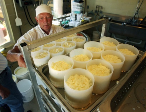 Steve Griffin  |  The Salt Lake Tribune

Stig Hansen, who owns Snowy Mt. Sheep Creamery in Eden with his wife Susan,  stacks molds filled with curd as he makes cheese Thursday, July 14, 2011.