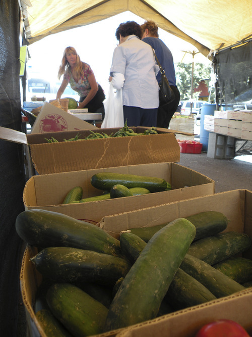 Erin Alberty | The Salt Lake Tribune
Saleswoman Vicki Nelson helps customers at the Tagge's Famous Fruits stand at 4657 S. 2300 East, just one mile from the field where the cucumbers were grown.