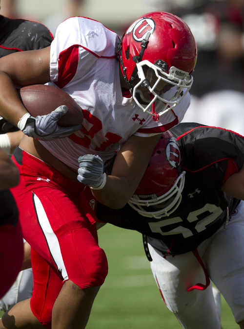 Lennie Mahler  |  The Salt Lake Tribune
Utah's Kendrick Moeai runs for extra yards as Matt Martinez closes in during practice Monday, Aug. 15, 2011, at Rice-Eccles Stadium.