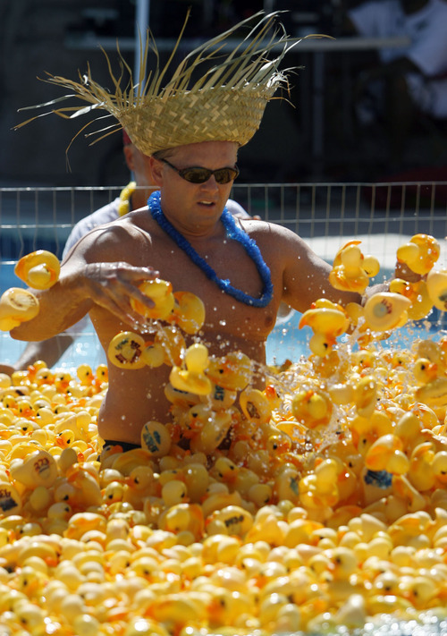 Francisco Kjolseth  |  The Salt Lake Tribune
Scott Stevens, Committee Chair with the Make-A-Wish Foundation of Utah stirs up the duckies that were used to help raise $10,000 as they put on a rubber ducky for $6 at the Lindon Aquatics Center on Saturday, August 20, 2011. The ducks raced down the lazy river with the grand prize winner taking home a $15,000 car credit to any Mark Miller Auto Group Dealership.