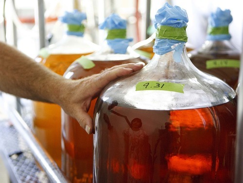 Trent Nelson  |  The Salt Lake Tribune
Large jars of vinegar, labeled by their acidic content, at the Slide Ridge farm in Mendon, Utah. Martin James and his family produce a unique Honey Wine Vinegar made from raw honey (from their own hives) and fermented in special process. Similar to balsamic vinegar it can be used as a glaze for meat or drizzled on everything from a salad to ice cream. The honey wine vinegar is getting lots of praise from local experts, who say it's one of the best food products being made in Utah.
Tuesday, August 16, 2011.