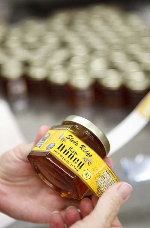 Trent Nelson  |  The Salt Lake Tribune
Labels are put onto jars of honey at the Slide Ridge farm in Mendon, Utah. Martin James and his family produce a unique Honey Wine Vinegar made from raw honey (from their own hives) and fermented in special process. Similar to balsamic vinegar it can be used as a glaze for meat or drizzled on everything from a salad to ice cream. The honey wine vinegar is getting lots of praise from local experts, who say it's one of the best food products being made in Utah.
Tuesday, August 16, 2011.