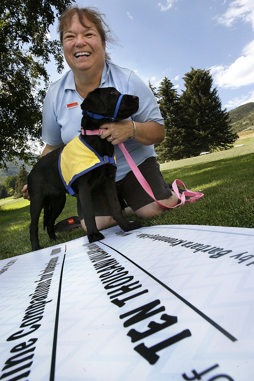 Scott Sommerdorf  |  The Salt Lake Tribune
Wells Fargo awarded a $10k donation in honor of Barbara Kronenberg, of Riverton who volunteers for Canine Companions for Independence. She poses with Nyobi, a black Lab puppy in training to be an assistance dog, next to the ceremonial check for $10,000.