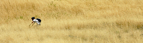 Tribune file photo
A mountain biker rides through a field of dry grass on the Bonneville Shoreline Trail behind the University of Utah.