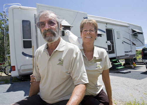 Al Hartmann  |  The Salt Lake Tribune
Mike and Billye Silvester are campground hosts at the Oak Hollow loop at Wasatch State Park.