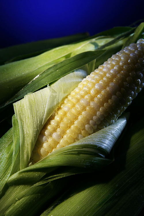 Francisco Kjolseth  |  The Salt Lake Tribune
Now through the end of September, fresh corn is plentiful at farmer's markets.
