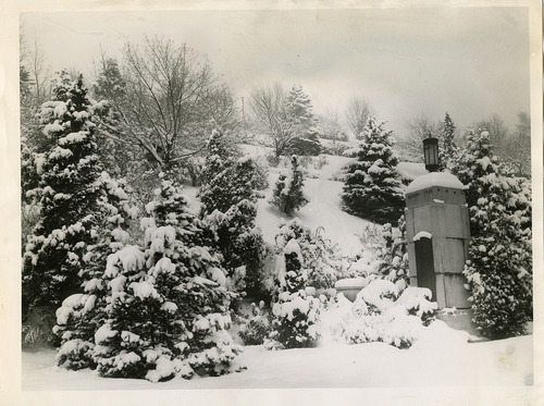 Salt Lake Tribune file photo

A view of Memory Grove is seen in this January 1944 photo.