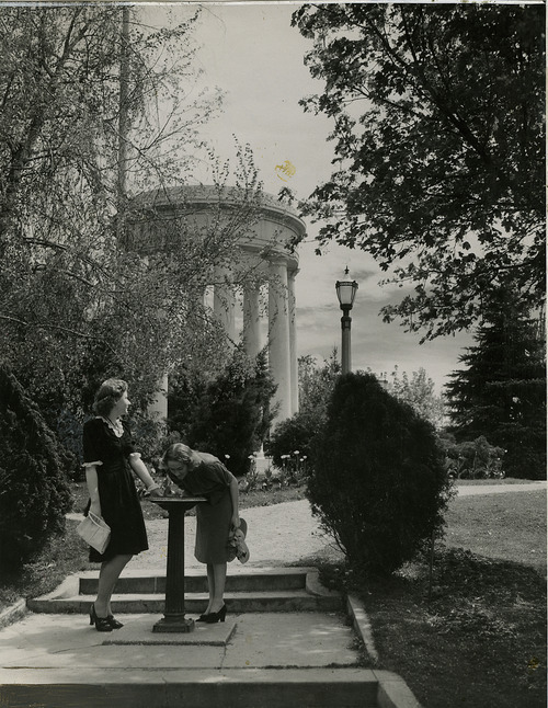 Salt Lake Tribune file photo

two women stop for a drink of water at Memory Grove in this 1940 photo.