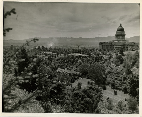 Salt Lake Tribune file photo

A view of Memory Grove is seen in this undated photo.