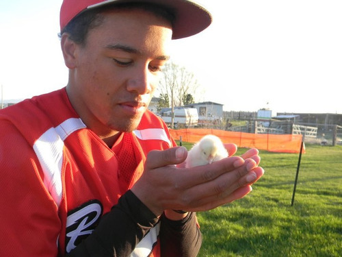 Courtesy photo | Carol Palmer

Ross Palmer and the chicken he got in return to his prom proposal