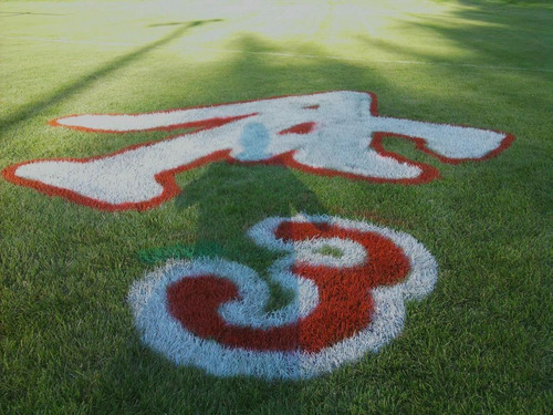 Courtesy photo | Carol Palmer

Ross Palmer's number painted on his high school football field following his collapse.