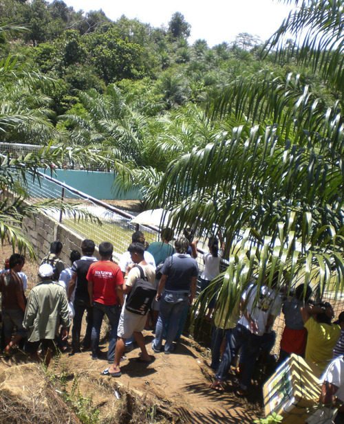 20foot crocodile captured in Philippines The Salt Lake Tribune