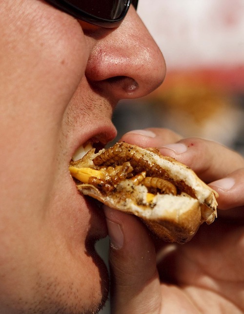 Trent Nelson  |  The Salt Lake Tribune
Dennis Stacy bites into the maggot-melt sandwich at Jungle George's Exotic Meats and Bugs, a food vendor at the Utah State Fair in Salt Lake City, Utah, Wednesday, September 14, 2011.