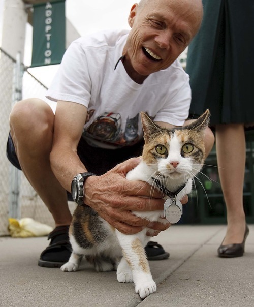 Trent Nelson  |  The Salt Lake Tribune
Patrick Wiggins inherited $46,000 from his ex-wife. Instead of keeping the money, he donated it to the Utah Humane Society, because they were both animal lovers. He was photographed with his pet cat Pumpkin, at the Humane Society in Murray, Utah, Friday, September 9, 2011.