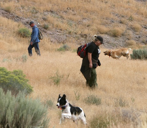 Steve Griffin  |  The Salt Lake Tribune
Wally Hendricks and Jennifer Lopez work with their cadaver dogs as authorities continue to search for signs of Susan Powell in the area around Topaz Mountain in Juab County about 40 miles northwest of Delta on Wednesday.