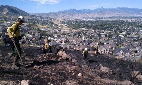 Cimaron Neugebauer  |  The Salt Lake Tribune file photo  
Firefighters work on Bell Canyon Fire hot spots in the foothills above Draper. The summer fire did not destroy any homes. This weekend, about 200 volunteers will begin reseeding efforts above the homes threatened by the fire.