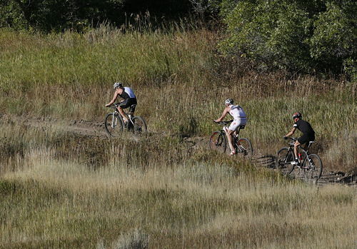 Scott Sommerdorf  |  The Salt Lake Tribune             
Lance Armstrong, currently in third place at this point, leads a group of riders during the second leg of the 2011 XTERRA Nationals held at Snowbasin, Saturday, September 24, 2011. Armstrong finished fifth with a time of 2:29.25.