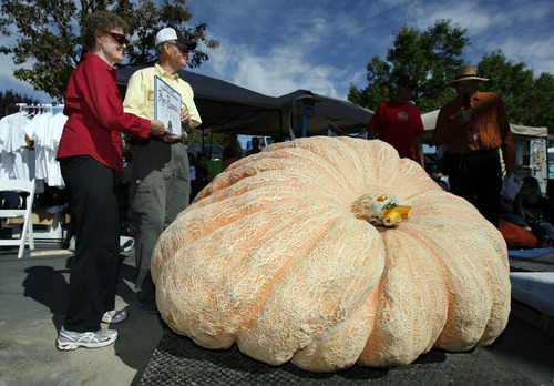 Francisco Kjolseth  |  The Salt Lake Tribune
Ross and Kaye Bowman, of Brigham City, have their picture taken with his 1,174-pound pumpkin at the second annual Harvest Festival in Lehi on Saturday as part of the giant pumpkin weigh-off. Bowman, a former rocket scientist who for a brief moment held the state record, is the first to enter more than one pumpkin weighing more than 1,000 pounds and in this case brought in three for a total weight of 3,269 pounds.