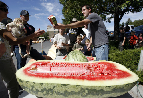 Francisco Kjolseth  |  The Salt Lake Tribune
Kyle Clark, of Highland, slices up his 125-pound watermelon t the second annual Harvest Festival at Thanksgiving Point in Lehi on Saturday. In addition to various fruits and vegetables winning prizes, the main attraction was the giant pumpkin weigh-off.