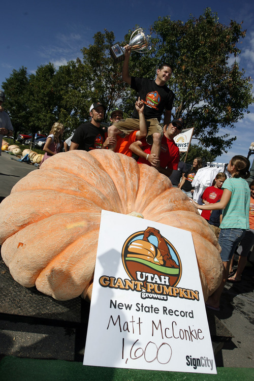 Francisco Kjolseth  |  The Salt Lake Tribune
Matt McConkie, who raised his record-breaking 1,600-pound pumpkin at McQuigley Farms in South Ogden, is hoisted by fellow farmers after shattering his own state record from last year at 1,169 pounds. Multiple pumpkins in excess of 1,000 pounds were weighed before a cheering crowd at Thanksgiving Point in Lehi for the second Annual Harvest Festival on Saturday.