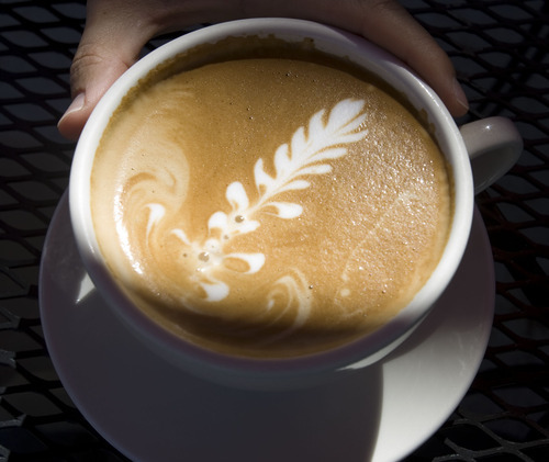 Steve Griffin  |  The Salt Lake Tribune


A leaf design on the top of a latte from the Coffee Garden in Salt Lake City.