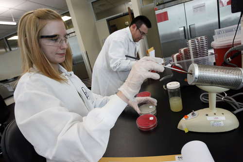 Francisco Kjolseth  |  The Salt Lake Tribune
Lab analysts Jenn Fish and Chad Gailey, work on a selective microbial screening while testing a product at Nelson Laboratories in Taylorsville. Jeffery Nelson, CEO and president of Nelson Laboratories, likes Taylorsville's central location in the Salt Lake Valley and easy access to freeways.