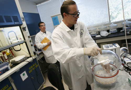 Francisco Kjolseth  |  The Salt Lake Tribune
Analysts Lane O'Berry, left, and Dallas Dean do a moisture test on bone fragments in the chemistry wet lab as part of a study at Nelson Laboratories in Taylorsville. Nelson Laboratories, which primarily does testing of medical products, picked Taylorsville as its home because of its central location in the Salt Lake Valley and easy access to freeways, among other reasons.
