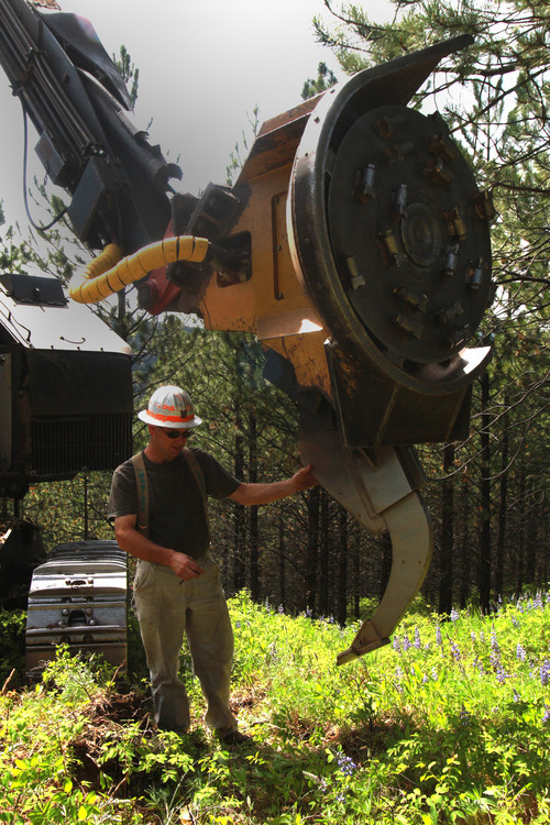 Rick Egan  | The Salt Lake Tribune 

A masticator, heavy equipment used to mulch standing trees, works on the Bitterroot National Forest to thin some trees and leave the rest better able to defend against beetles.
Monday, August 1, 2011.