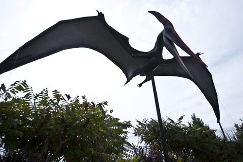 Chris Detrick  |  The Salt Lake Tribune
Pteranodon in the Dinosaur Garden at the Utah Field House of Natural History State Park Museum.