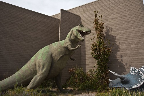 Chris Detrick  |  The Salt Lake Tribune
Triceratops and tyrannosaurus rex in the Dinosaur Garden at the Utah Field House of Natural History State Park Museum in Vernal.