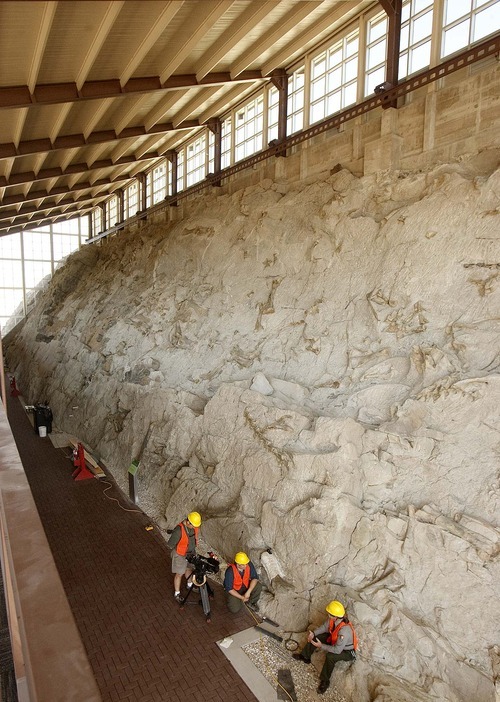 Trent Nelson  |  The Salt Lake Tribune
Dinosaur bones protrude from the stone in the quarry building at Dinosaur National Monument. The new building has reopened after a long remodel.