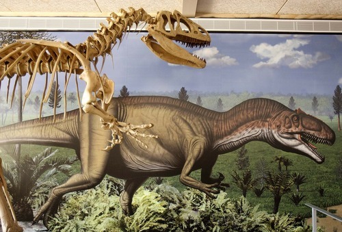 Trent Nelson  |  The Salt Lake Tribune
A display on the allosaurus in the quarry building at Dinosaur National Monument. The new building reopened recently after a long remodel.