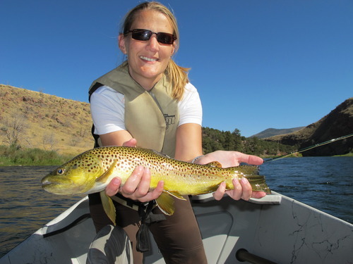 Single Fly Tournament Reminder Of Fishing Basics - The Salt Lake Tribune